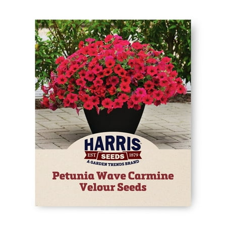 Harris Seeds - Petunia Wave Carmine Velour F1 Seeds - 25 Pelleted Seeds