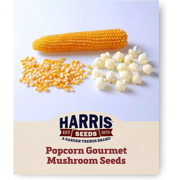 Harris Seeds Gourmet Mushroom Popcorn Variety, Treated, Orange Kernels, 10,000 Count