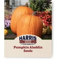 thumbnail image 1 of Harris Seeds - Pumpkin Aladdin Treated Large Gourds Semi-Full Vines - 25 Seeds, 1 of 7