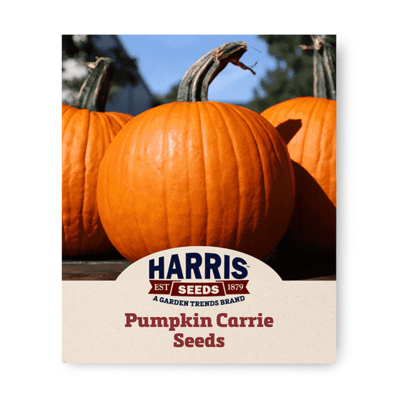 Harris Seeds - Pumpkin Carrie Non-GMO Vegetable - 1000 Seeds