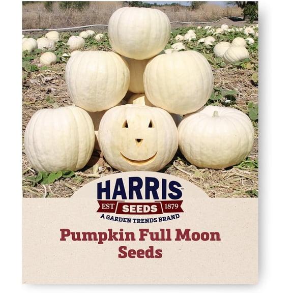 Harris Seeds - Pumpkin Full Moon Vegetable Seeds Non-GMO Treated - 100 Seeds