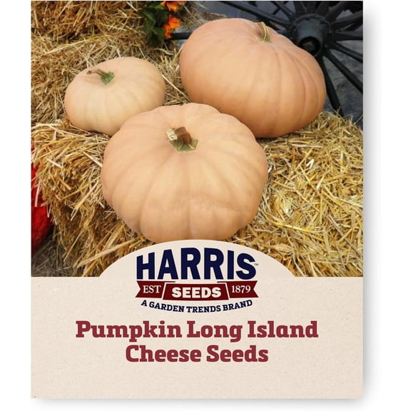 Harris Seeds Long Island Cheese Heirloom Pumpkin, Tan Pie Pumpkin, 1 oz