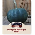 thumbnail image 1 of Harris Seeds - Pumpkin Midnight Non-GMO Vegetable - Treated Variety - 250 Seeds, 1 of 5