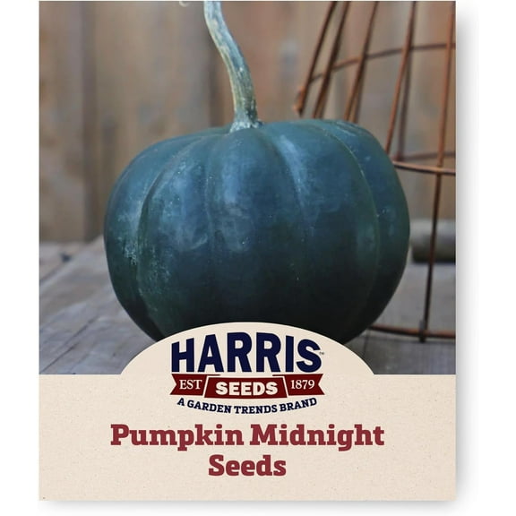 Harris Seeds - Pumpkin Midnight Non-GMO Vegetable - Treated Variety - 250 Seeds