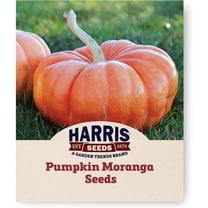 Harris Seeds - Pumpkin Seeds Moranga Variety Salmon Fruit - 250 Seeds