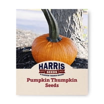 Harris Seeds - Pumpkin Thumpkin Variety FarMore Treated Non-GMO - 250 Seeds