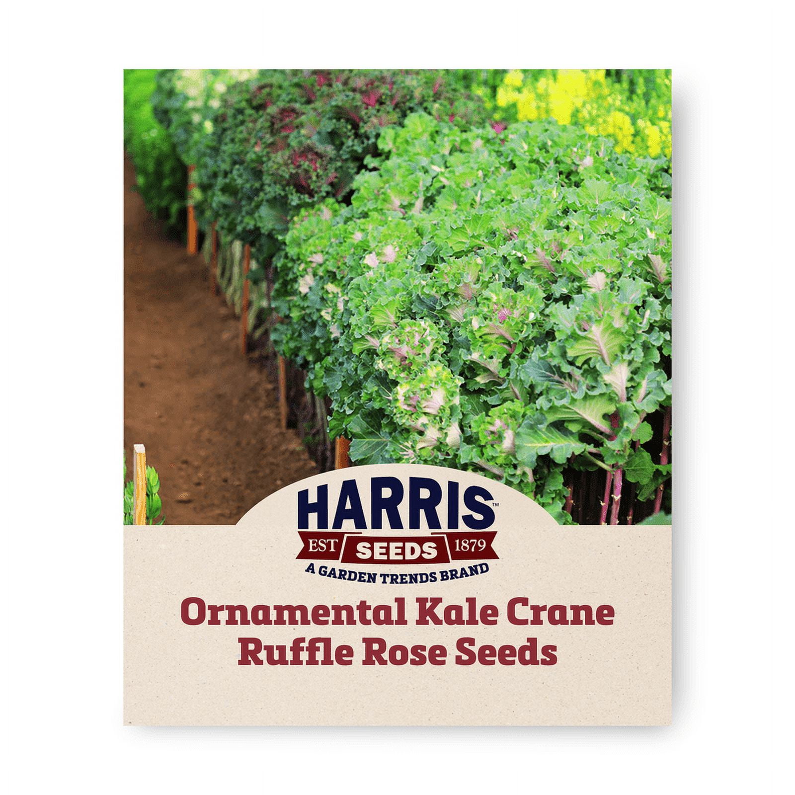 Harris Seeds - Rose Ornamental Kale Crane Ruffle Seeds - 100 Seeds ...