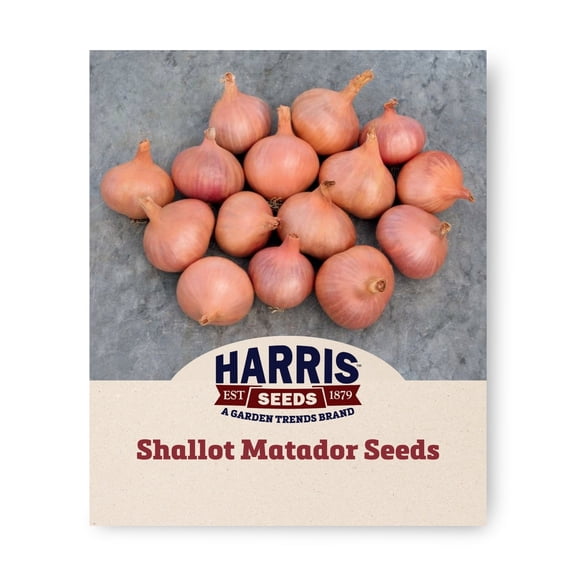 Harris Seeds Shallot Matador F1 Organic Variety, Non-GMO, 50 Count