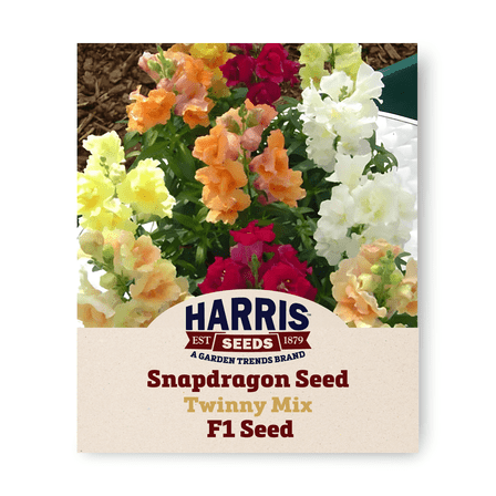 Harris Seeds Snapdragon Twinny Mix Annual Flowers Seeds F1 - 50 Seeds