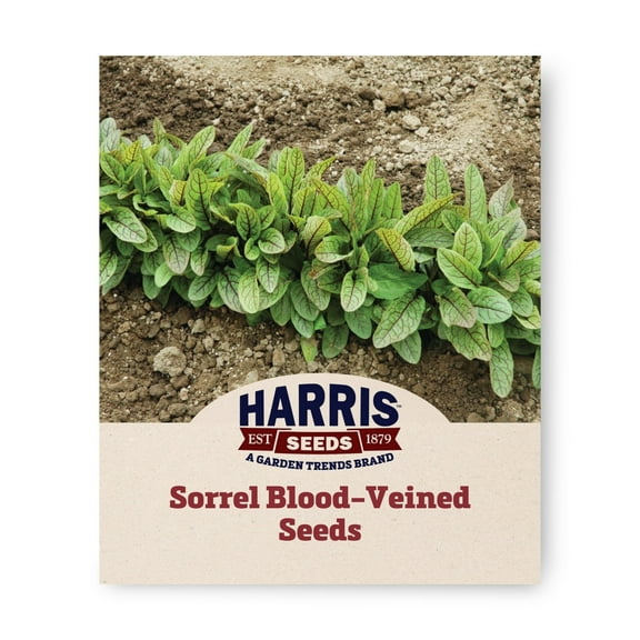 Harris Seeds - Sorrel Blood-Veined Seeds - Tangy Leaves - 1/4 Oz