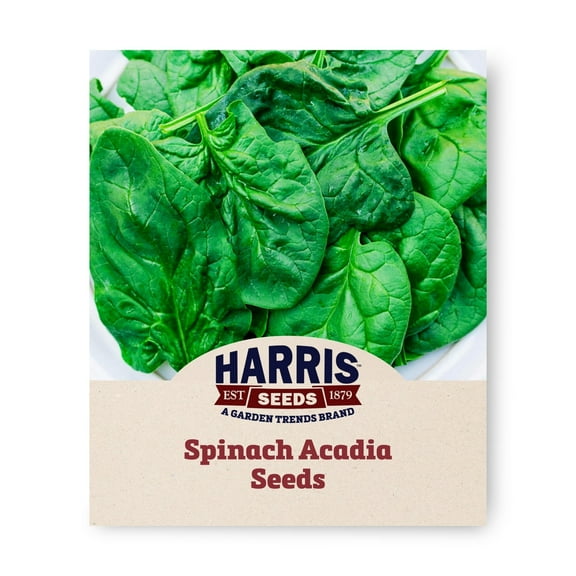Harris Seeds - Spinach Seeds - Acadia Organic Variety - Oval Leaves - 50 Seeds