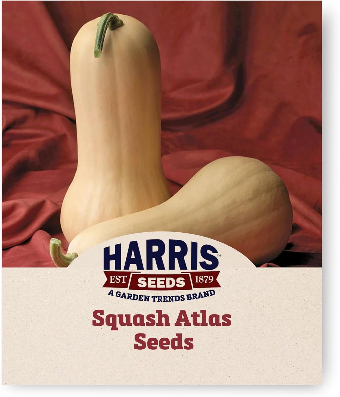 Harris Seeds Squash Atlas F1 Seed - Thumbnail 2