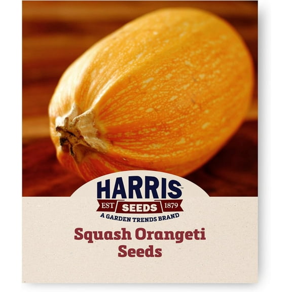 Harris Seeds - Organic Squash Seeds F1 Orangeti Variety - Orange Flesh - 250 Seeds