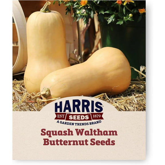 Harris Seeds Squash Waltham Butternut Yellow Treated Variety, 5,000 Count
