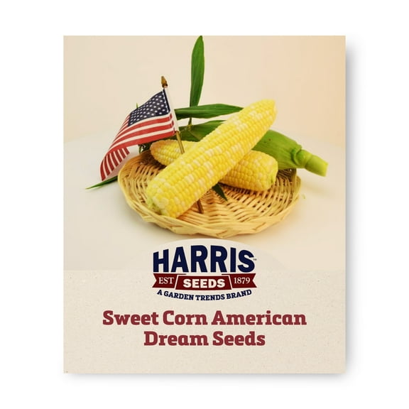 Harris Seeds - Sweet Corn American Dream F1 Seeds - Bicolor Kernels - 50 Seeds