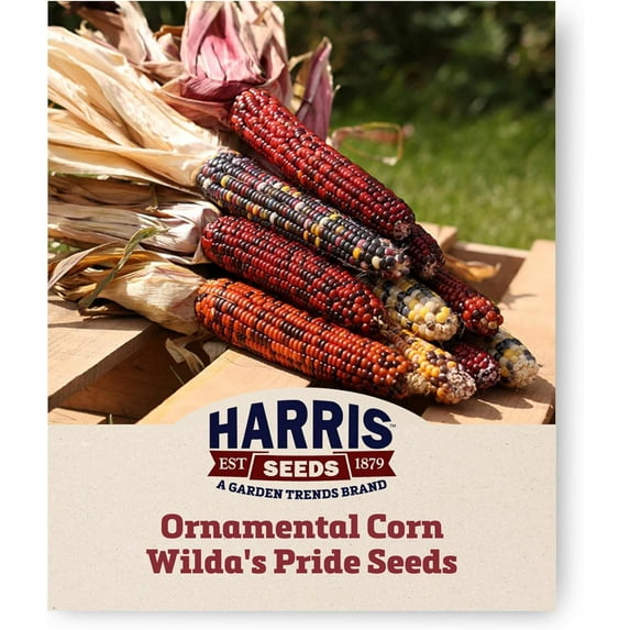 Harris Seeds Sweet Corn Honey N Pearl Non-GMO - 10K Seeds
