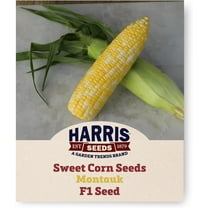 Harris Seeds Sweet Corn Montauk Non-GMO Vegetable - 1000 Seeds