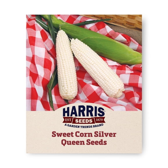 Harris Seeds Silver Queen F1 Sweet Corn, White Sweet Corn Variety, 250 Count