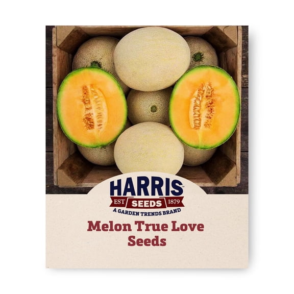 Harris Seeds - Sweet Melon True Love F1 Organic Seeds For Planting - 250 Seeds