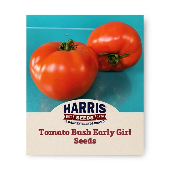 Harris Seeds - Tomato Bush Early Girl F1 Seeds - Deep Red Fruits - 500 Seeds