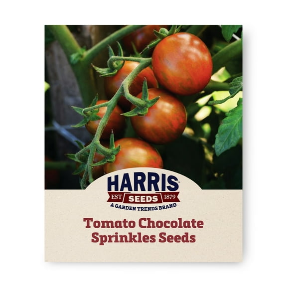 Harris Seeds - Tomato Chocolate Sprinkles F1 Seeds - Sweet, Oval-Shaped Fruit - 10 Seeds