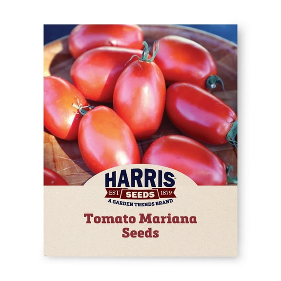 Harris Seeds - Tomato Mariana F1 Seeds - Treated Variety - High-Yielding - 500 Seeds