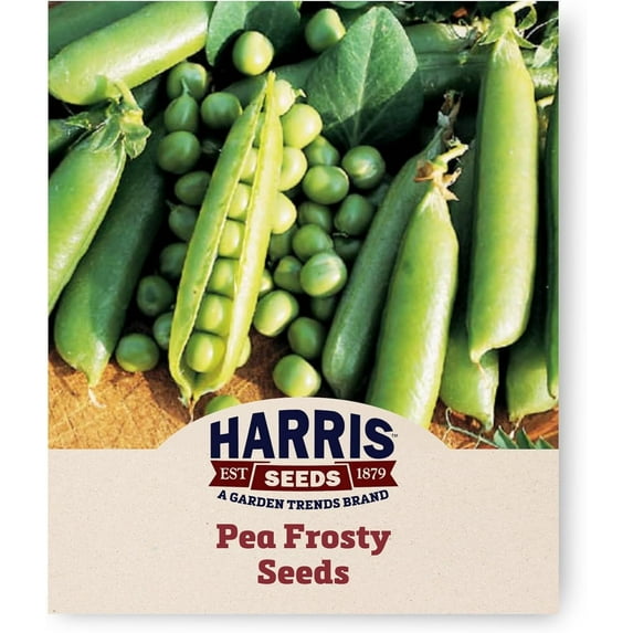 Harris Seeds - Treated Pea Seeds Frosty Non-GMO Fast Germination Dark Green Pods 0.5 Lbs