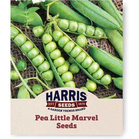 Harris Seeds -Treated Pea Seeds Little Marvel Non-GMO Dwarf Vines Sweet Pods 0.5 Lbs