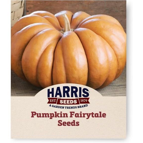 Harris Seeds - Treated Pumpkin Fairytale Variety Baking Cinderella Shape - 250 Seeds