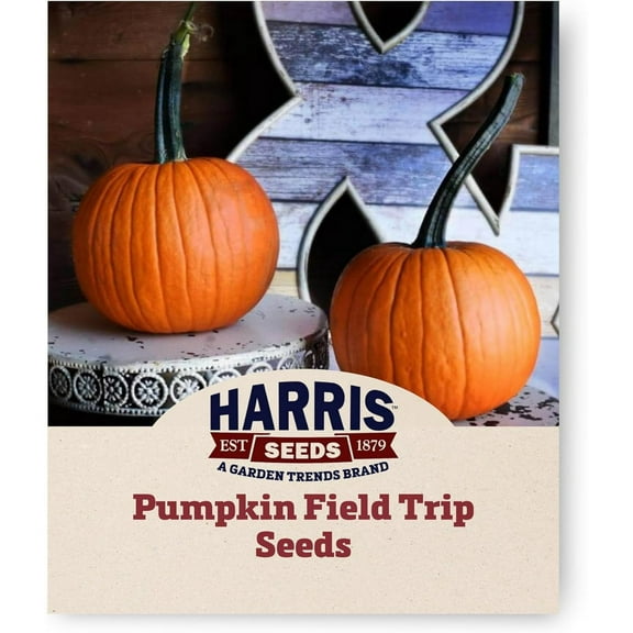 Harris Seeds - Treated Pumpkin Field Trip Non-GMO Vegetable - 1000 Seeds