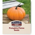 thumbnail image 1 of Harris Seeds - Treated Pumpkin Flatso Oval Bright Orange Fruit Dark Handles - 250 Seeds, 1 of 7