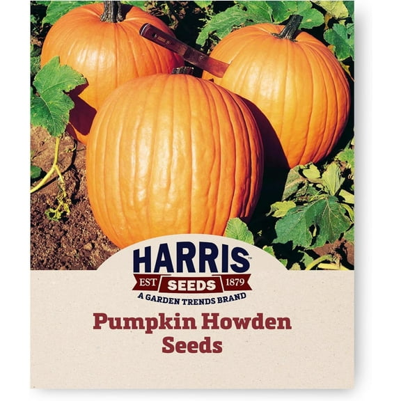 Harris Seeds - Treated Pumpkin Howden Variety Deep-Round Orange Fruit Seeds - 1 Oz
