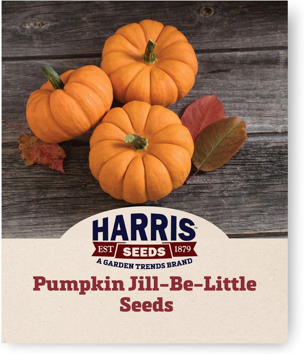 Harris Seeds Pumpkin Jill-Be-Little Seed - Thumbnail 2