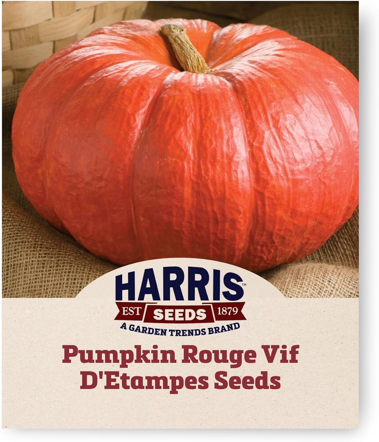 Harris Seeds Pumpkin Rouge Vif D'Etampes Seed