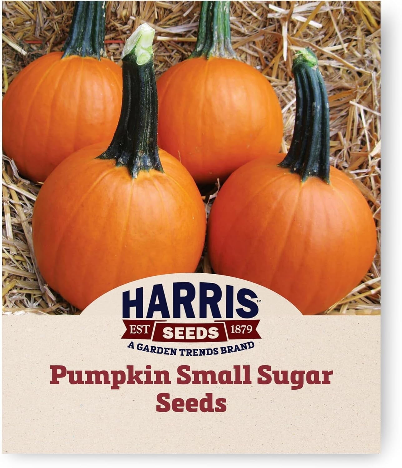 Harris Seeds Sugar Pumpkin Seeds
