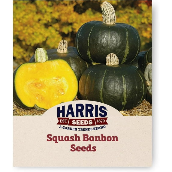 Harris Seeds - Treated Squash Bonbon Seeds F1 Winter Butter Cup Variety - 1 Lb.