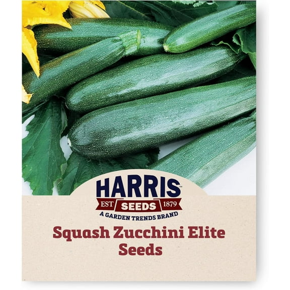 Harris Seeds -Treated Squash Zucchini Elite F1 Classic Cylindrical Shape - 25 Seeds