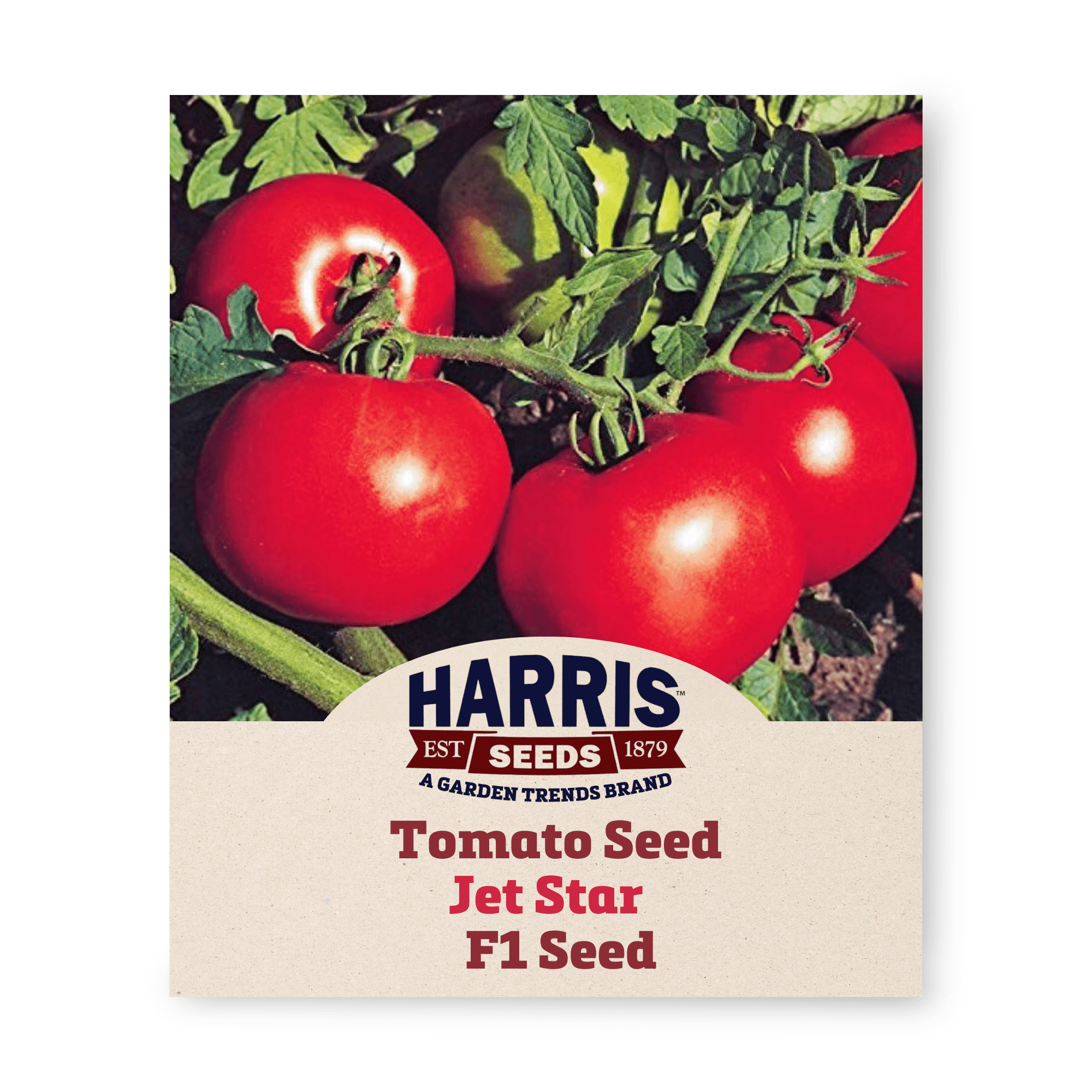 Jet Star Tomato Seeds