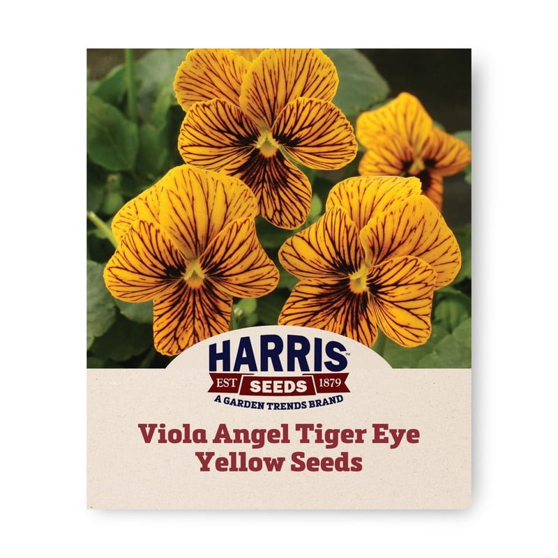 Harris Seeds Viola Angel Tiger Eye Seed - Thumbnail 3