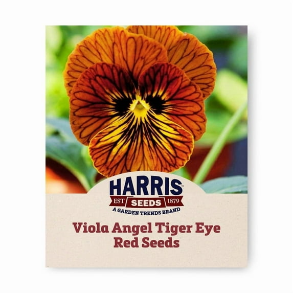 Harris Seeds - Viola Seeds - Angel Tiger Eye Red F1 Variety - Annual Flowers - 250 Seeds
