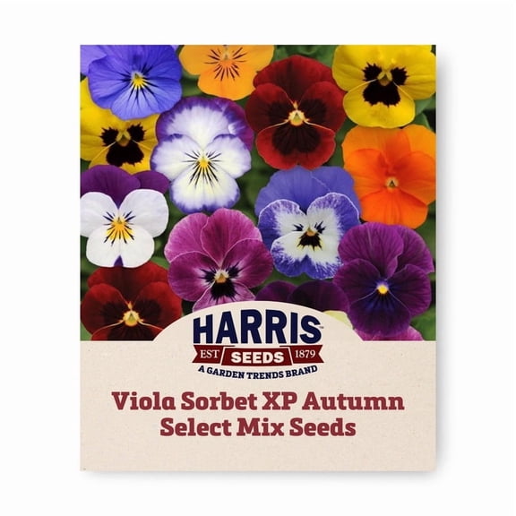 Harris Seeds - Viola Sorbet XP Autumn Select Mix F1 Seeds - 250 Seeds