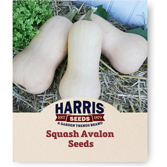 Harris Seeds - Winter Squash Avalon F1 Variety Orange Flesh - 5,000 Seeds