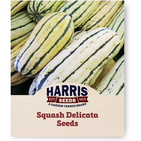 Harris Seeds - Winter Squash Delicata Premium Striped with Green - Treated Variety - 1 Lb.