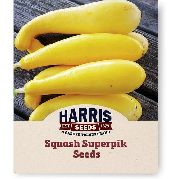 Harris Seeds - Yellow Summer Squash Seeds - Superpik F1 Variety - 250 Seeds