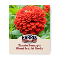 thumbnail image 1 of Harris Seeds - Zinnia Benary's Giant Scarlet Flower Seeds - 250 Seeds, 1 of 7