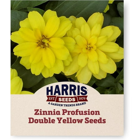 Harris Seeds - Zinnia Profusion Double Yellow Flower Seeds - 25 Seeds