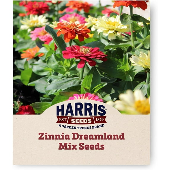 Harris Seeds -Organic Zinnia Seeds - F1 Dreamland Mix Flower - Non-GMO - 1,000 Seeds