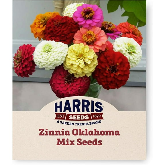 Harris Seeds - Zinnia Seeds - Oklahoma Colorful Mix Variety - 50 Seeds