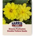 thumbnail image 1 of Harris Seeds - Zinnia Seeds Profusion Double Yellow Flowers - 250 Seeds, 1 of 6