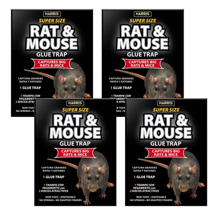 Harris Super-Size Rat and Mouse Glue Traps 4 Pack